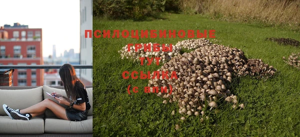 трава Алексин