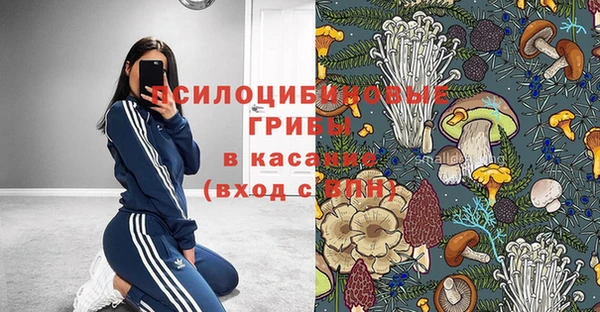 синтетический гашиш Алексеевка