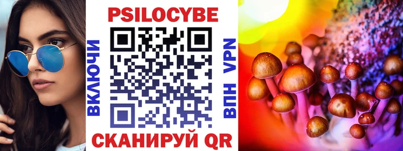 купить  цена  Шебекино  Псилоцибиновые грибы Psilocybe 